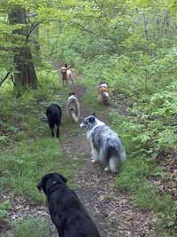 playgroup