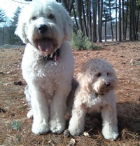 kodyandlucys